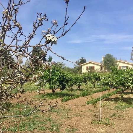 Casa Peppina Casa vacanze Pula